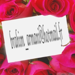 brahim_armani@hotmail.fr